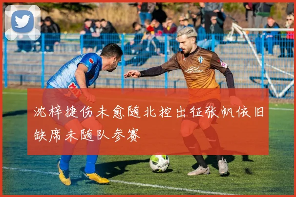 沈梓捷伤未愈随北控出征张帆依旧缺席未随队参赛
