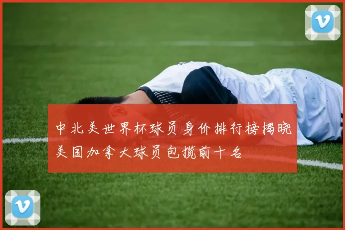 中北美世界杯球员身价排行榜揭晓美国加拿大球员包揽前十名
