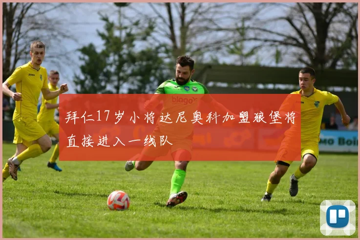 拜仁17岁小将达尼奥科加盟狼堡将直接进入一线队