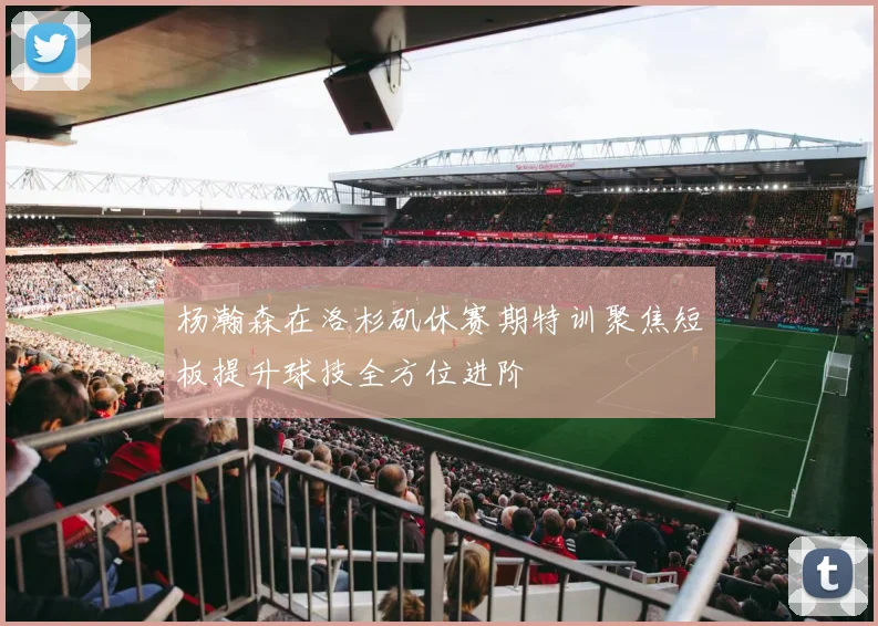 杨瀚森在洛杉矶休赛期特训聚焦短板提升球技全方位进阶